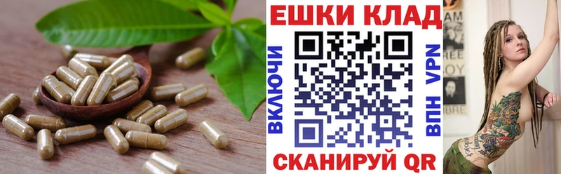 Ecstasy Punisher где купить наркотик Котовск