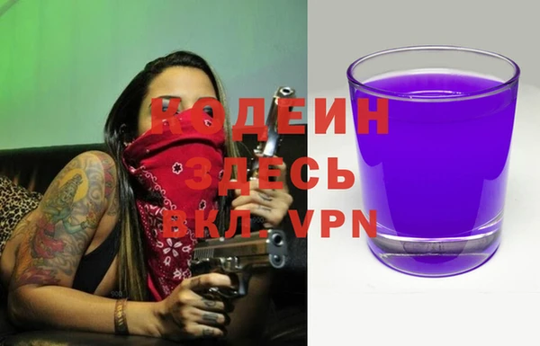 мет Няндома
