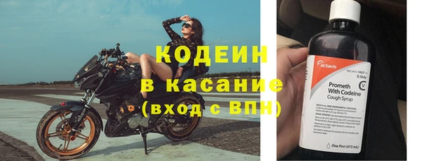 спиды Новозыбков