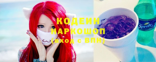 спиды Новозыбков