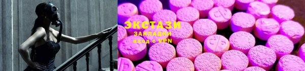 сатива Новодвинск