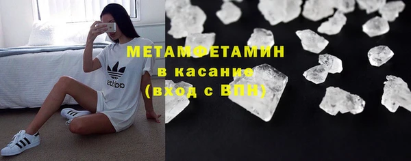 сатива Новодвинск