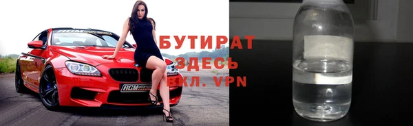 сатива Новодвинск