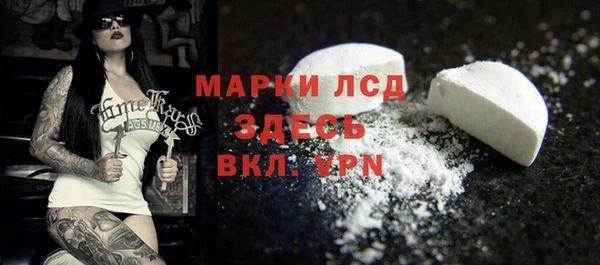 мет Няндома