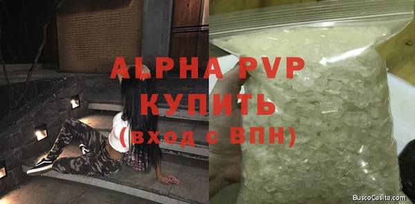 спиды Новозыбков