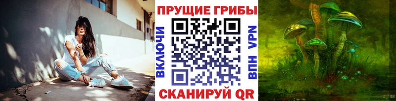 купить закладку  Котовск  Галлюциногенные грибы ЛСД 