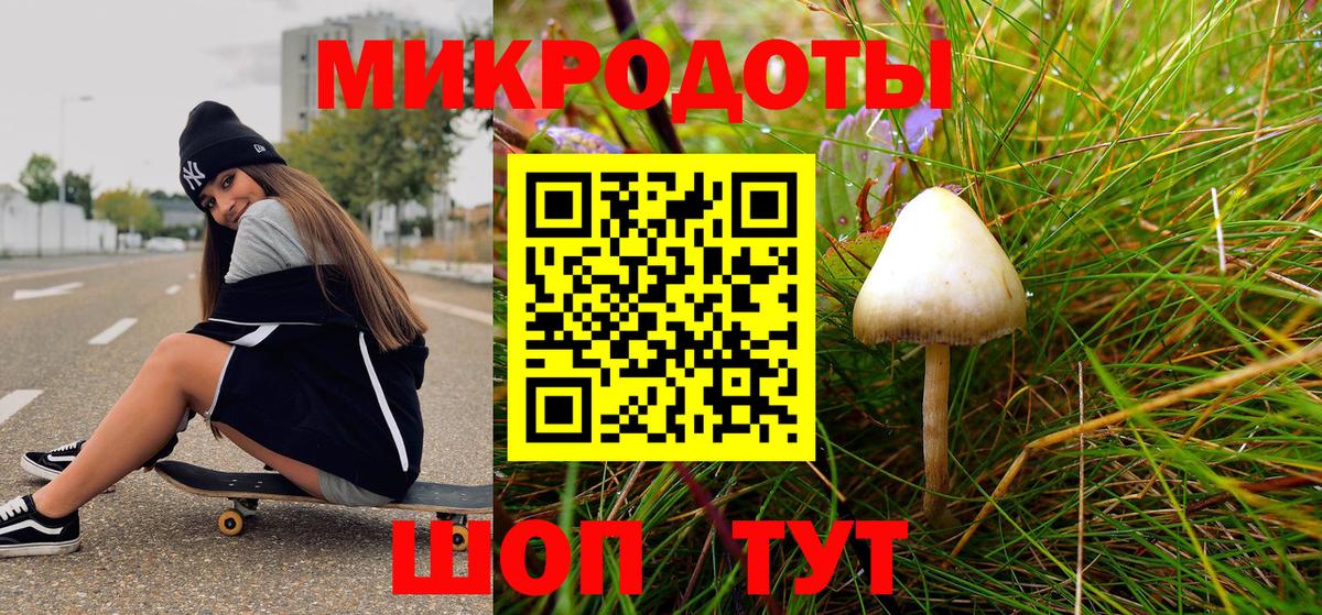 Галлюциногенные грибы Magic Shrooms  Вход с VPN  Котовск 